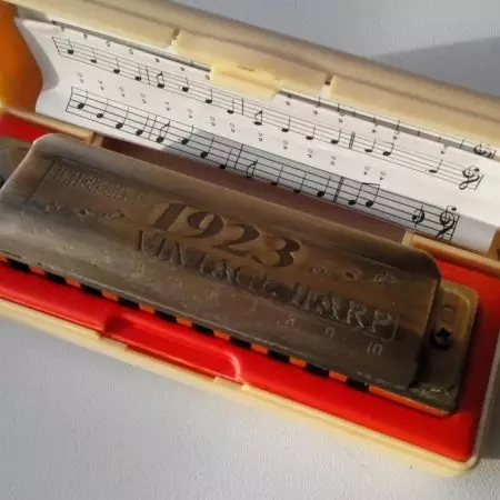 Lifting harmonica (43 mga larawan): mga uri. Paano pumili ng instrumento sa musika para sa mga nagsisimula? Diatonic Harmonic ng Richter System at iba pa 25558_11
