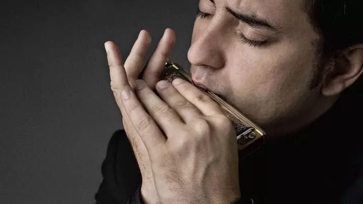 Irfigħ Harmonica (43 Ritratti): Tipi. Kif tagħżel strument mużikali għal dawk li jibdew? DIATONIC Harmonic tas-Sistema Richter u oħrajn 25558_14