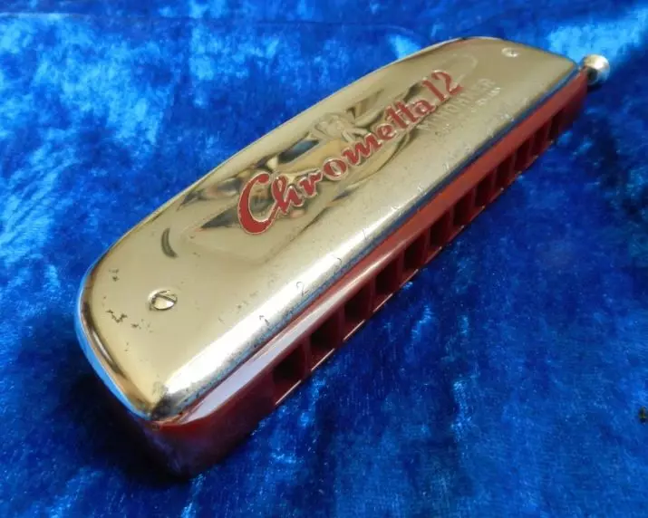 Angkat harmonica (43 poto): Jenis. Kumaha milih alat musik pikeun pamula? Harmonik Diarionic sistem ribut sareng anu sanés 25558_2