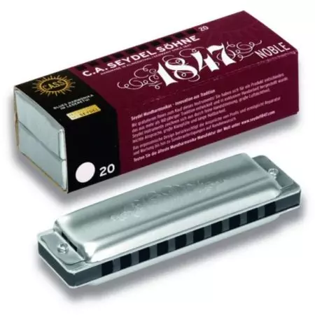 ยก Harmonica (43 รูป): ประเภท วิธีการเลือกเครื่องดนตรีสำหรับผู้เริ่มต้น? Harmonic Diatonic ของระบบ Richter และอื่น ๆ 25558_21