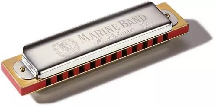 Ukuphakamisa i-harmonica (izithombe ezingama-43): Izinhlobo. Ungayikhetha kanjani insimbi yomculo wabaqalayo? I-Diatonic Harmonic yohlelo lweRichter nabanye 25558_23