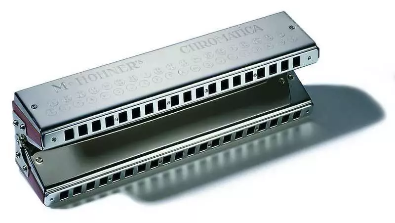 Harmonica (43 Fotos): Typen. Wie wählt man ein Musikinstrument für Anfänger? Diatonische Harmonische des Richtersystems und anderer 25558_24