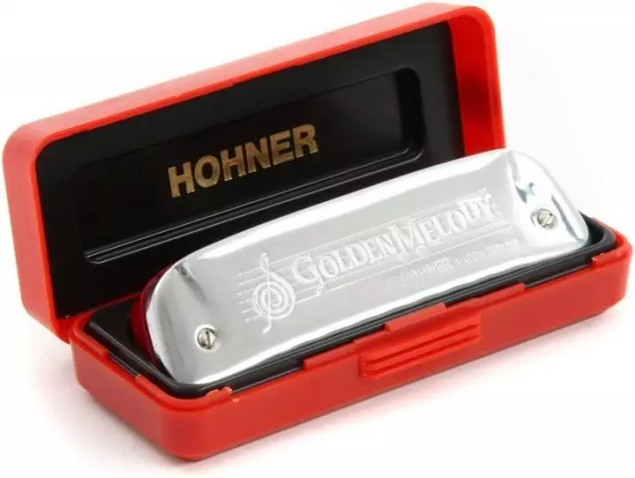 Mengangkat Harmonica (43 foto): Jenis. Bagaimana untuk memilih alat muzik untuk pemula? Harmonik diatonik sistem Richter dan lain-lain 25558_28