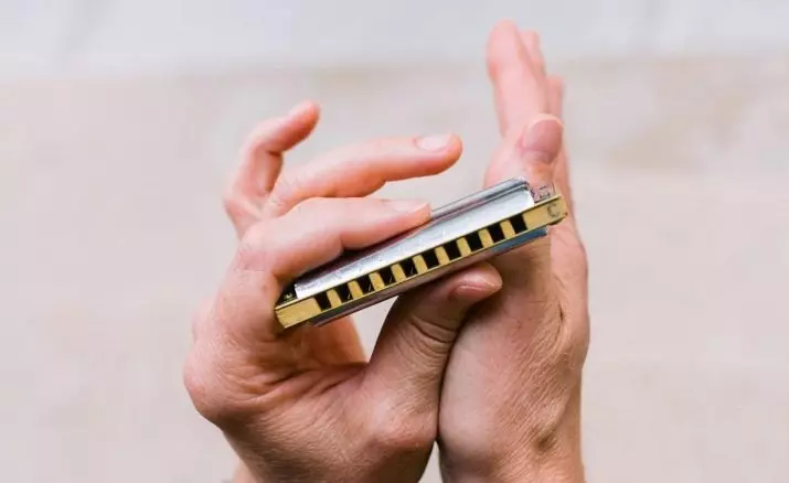 Ophef Harmonica (43 foto's): Tipes. Hoe om 'n musiekinstrument vir beginners te kies? Diatoniese harmonies van die Richter-stelsel en ander 25558_3