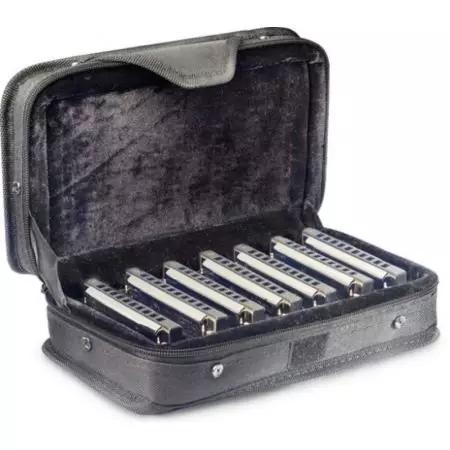 جګول harmonica (43 عکس): ډولونه. څنګه کولای شو چی د لومړنیو د موسيقۍ يوه آله غوره کړي؟ د ټکانونو سیستم او نور Diatonic harmonic 25558_33