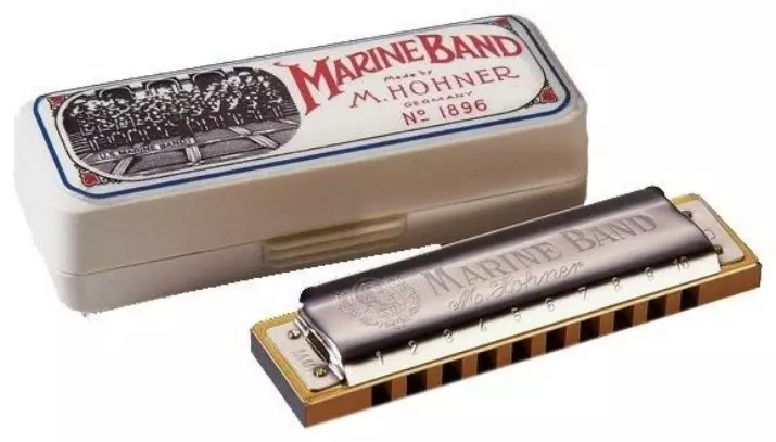 Kusimudza Harmonica (43 mafoto): Mhando. Ungasarudza sei chiridzwa chemumhanzi? Diatonic Harmonic yeiyo Richter System uye Vamwe 25558_35