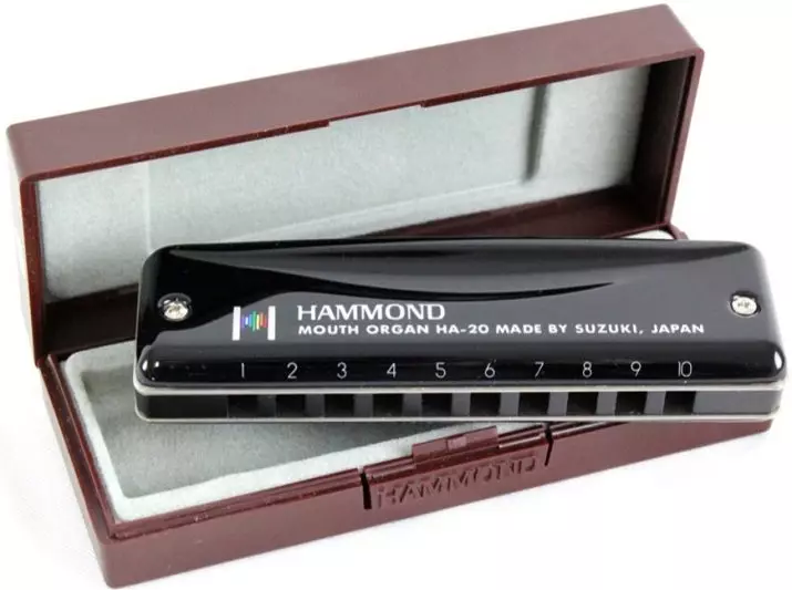 Lifting harmonica (43 mga larawan): mga uri. Paano pumili ng instrumento sa musika para sa mga nagsisimula? Diatonic Harmonic ng Richter System at iba pa 25558_36