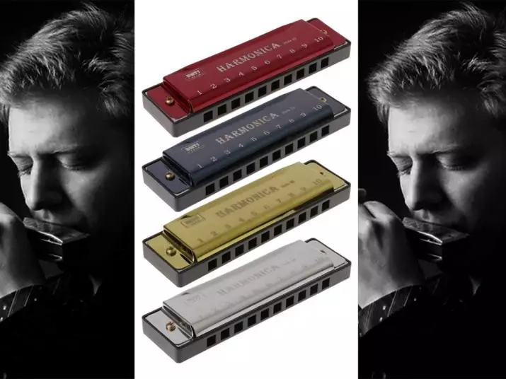 Lifting harmonica (43 mga larawan): mga uri. Paano pumili ng instrumento sa musika para sa mga nagsisimula? Diatonic Harmonic ng Richter System at iba pa 25558_38