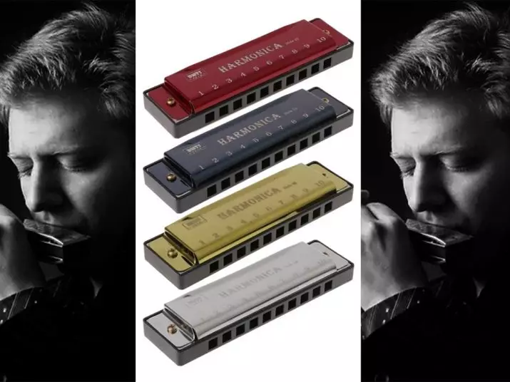 Lifting Harmonica (43 bilder): Typer. Hvordan velge et musikkinstrument for nybegynnere? Diatonisk harmonisk av Richter-systemet og andre 25558_38