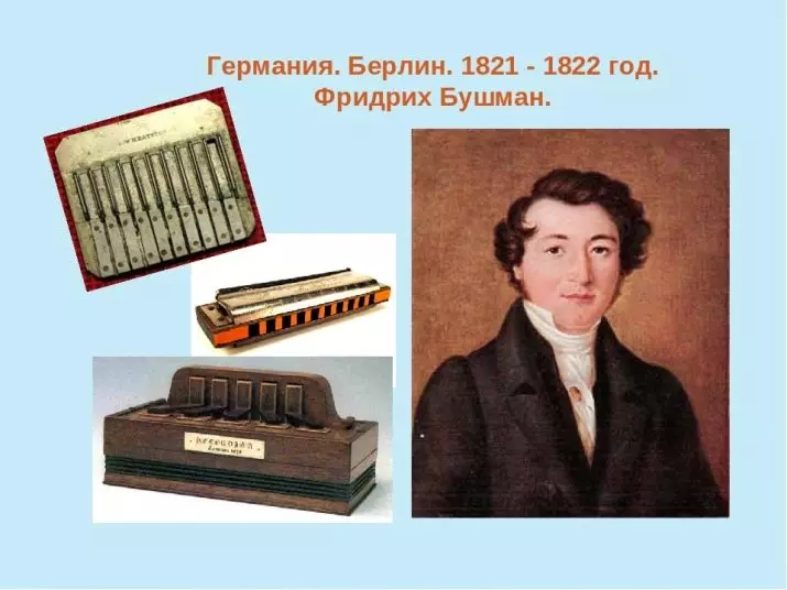 Manandratra Harmonica (43 sary): Karazana 43). Ahoana ny fomba hisafidianana zavamaneno ho an'ny vao manomboka? Ny fizotry ny diatin'ny rafitry ny Richter sy ny hafa 25558_4