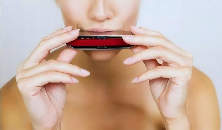 Harmonica harmonica (43 foto's): typen. Hoe kiest u een muziekinstrument voor beginners? Diatonische harmonische van het Richter-systeem en anderen 25558_40