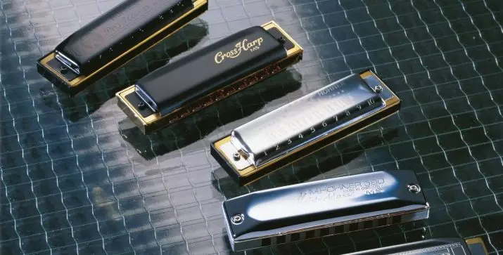 Harmonica harmonica (43 foto's): typen. Hoe kiest u een muziekinstrument voor beginners? Diatonische harmonische van het Richter-systeem en anderen 25558_42