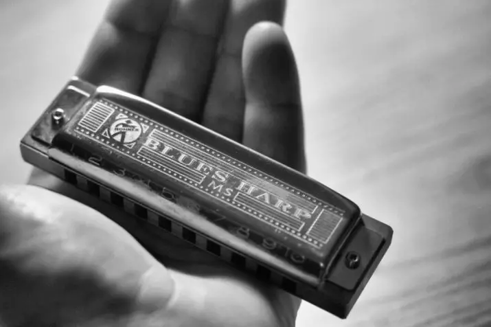 Zvedání harmonica (43 fotek): typy. Jak si vybrat hudební nástroj pro začátečníky? Diatonic harmonický richterový systém a další 25558_43