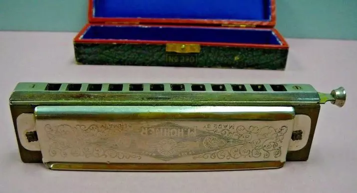 Lifting harmonica (43 mga larawan): mga uri. Paano pumili ng instrumento sa musika para sa mga nagsisimula? Diatonic Harmonic ng Richter System at iba pa 25558_6