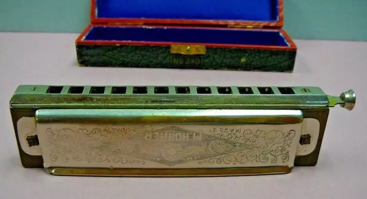 Mengangkat Harmonica (43 foto): Jenis. Bagaimana untuk memilih alat muzik untuk pemula? Harmonik diatonik sistem Richter dan lain-lain 25558_6