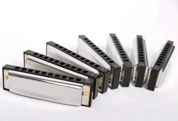 Angkat harmonica (43 poto): Jenis. Kumaha milih alat musik pikeun pamula? Harmonik Diarionic sistem ribut sareng anu sanés 25558_7