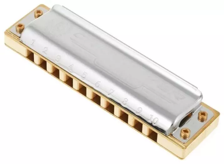 Mengangkat Harmonica (43 foto): Jenis. Bagaimana untuk memilih alat muzik untuk pemula? Harmonik diatonik sistem Richter dan lain-lain 25558_8