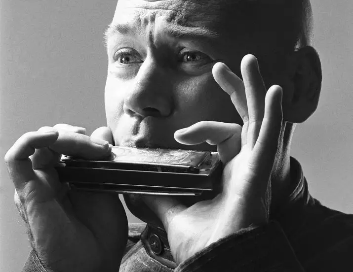 Harmonica harmonica (43 foto's): typen. Hoe kiest u een muziekinstrument voor beginners? Diatonische harmonische van het Richter-systeem en anderen 25558_9