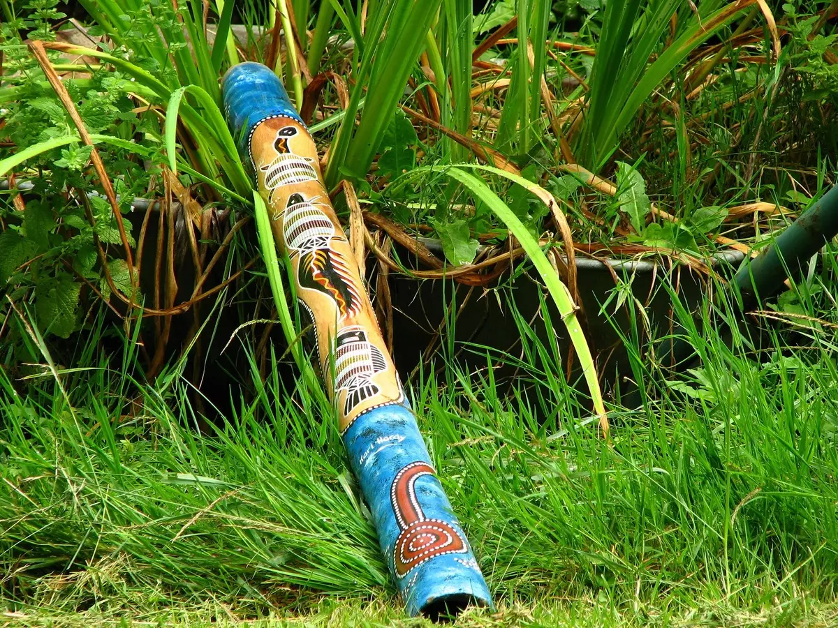 Didgerida (26 fotos): ¿Cómo jugar un instrumento musical de latón y qué es? Sonido, música moderna en Dudka australiano. 25560_12