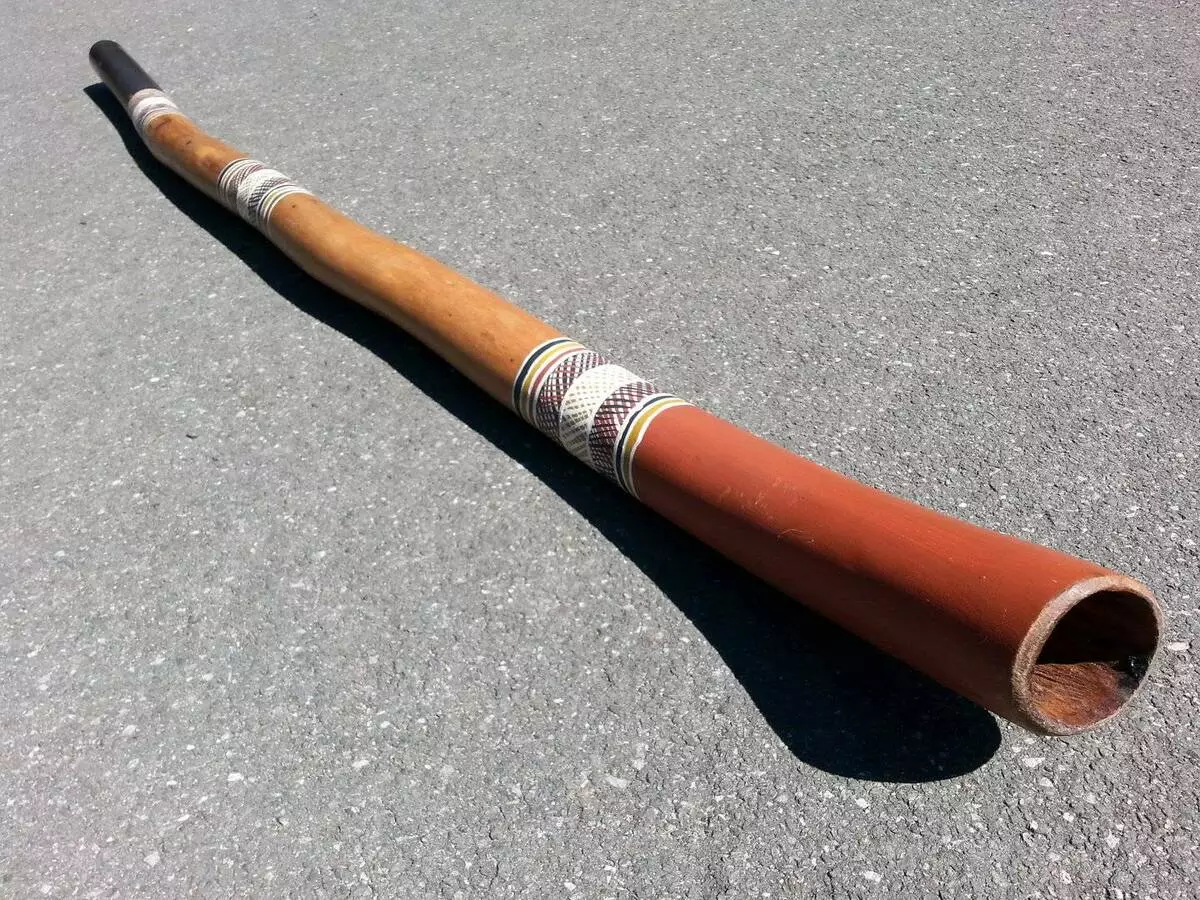Didgerida (26 fotos): ¿Cómo jugar un instrumento musical de latón y qué es? Sonido, música moderna en Dudka australiano. 25560_13