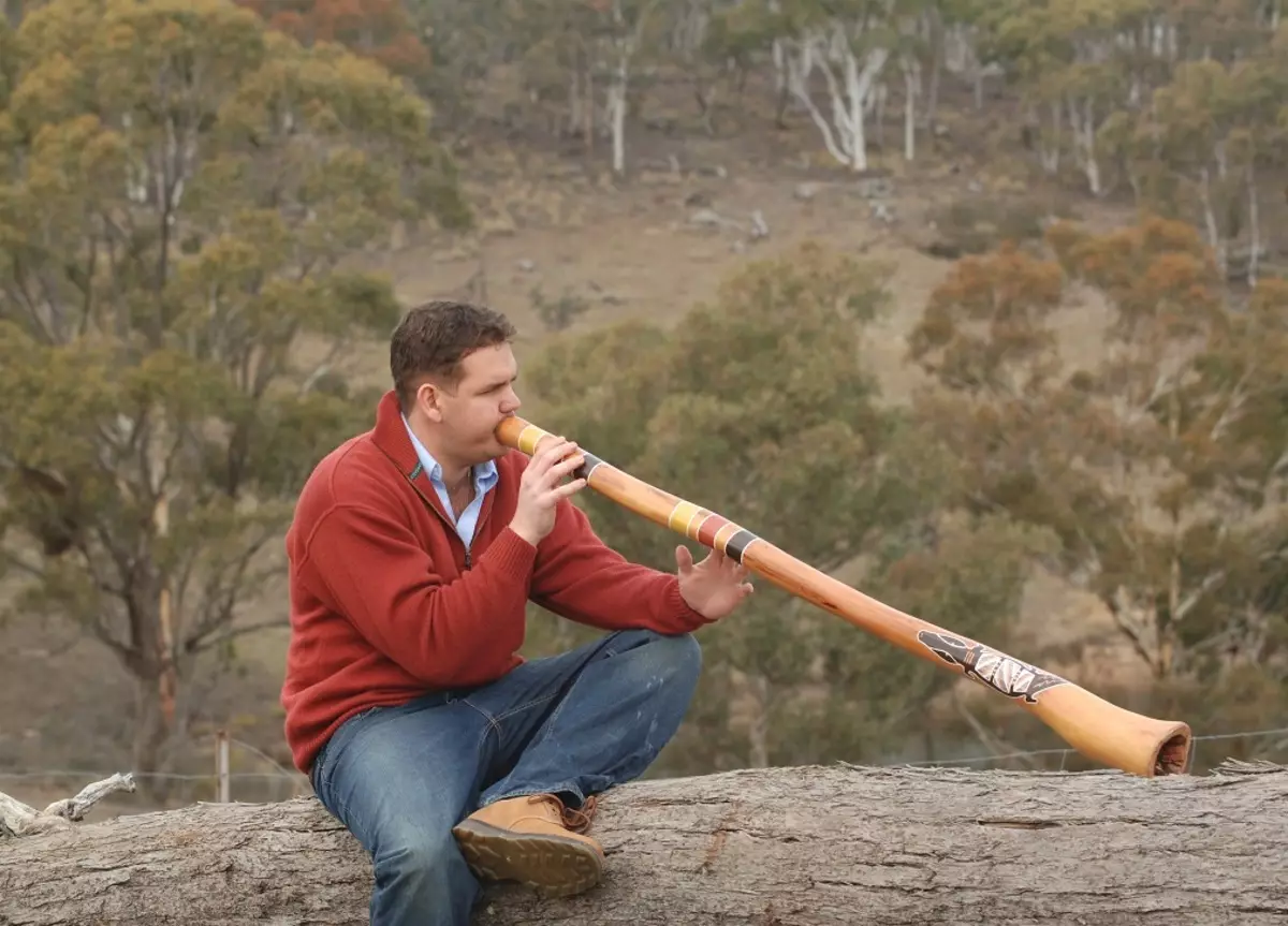 Человек дудка. Диджериду Австралия. Австралийский духовой музыкальный инструмент диджериду. Аборигены Австралии диджериду. Австралийская Дудка диджериду.