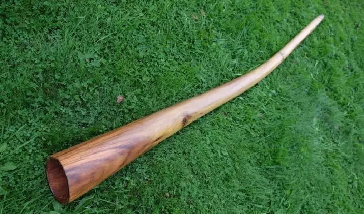 Didgerida（26張照片）：如何播放黃銅樂器，它是什麼？澳大利亞Dudka上的現代音樂 25560_8