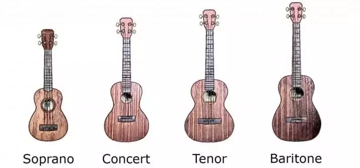 Was unterscheidet sich die Gitarre von Ukulele? Was ist besser, Anfänger zu wählen? Unterschiede der Ukulele aus der gewöhnlichen klassischen Gitarre. Was ist schwieriger und einfacher? 25564_13