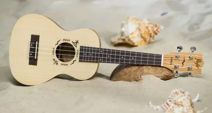 Was unterscheidet sich die Gitarre von Ukulele? Was ist besser, Anfänger zu wählen? Unterschiede der Ukulele aus der gewöhnlichen klassischen Gitarre. Was ist schwieriger und einfacher? 25564_4