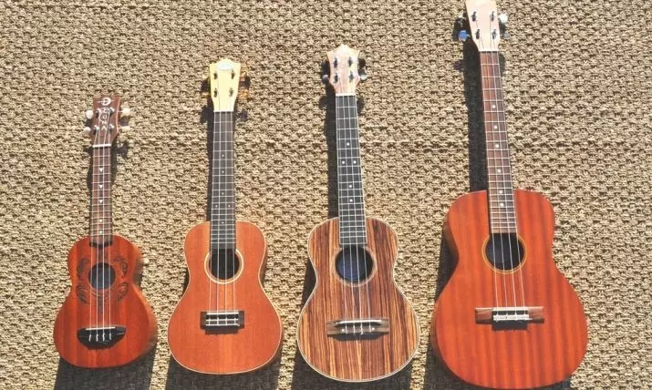 Qual è la chitarra diversa da Ukulele? Cosa è meglio scegliere i principianti? Differenze dell'Ukulele dalla normale chitarra classica. Ciò che è più difficile e più facile? 25564_9