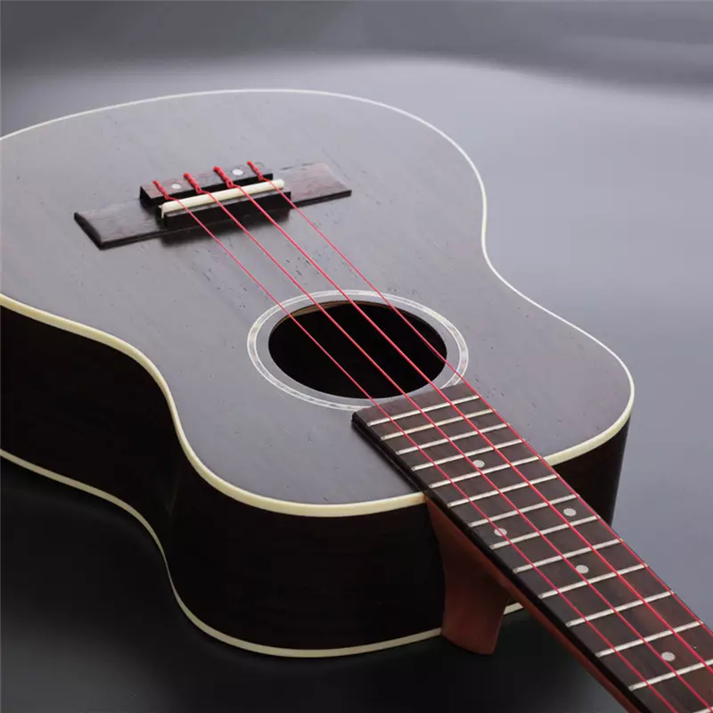 Corde di carbonio: per chitarra classica e altra. Quali stringhe dal carbonio è migliore? Quali sono le corde dell'alta tensione? 25569_13