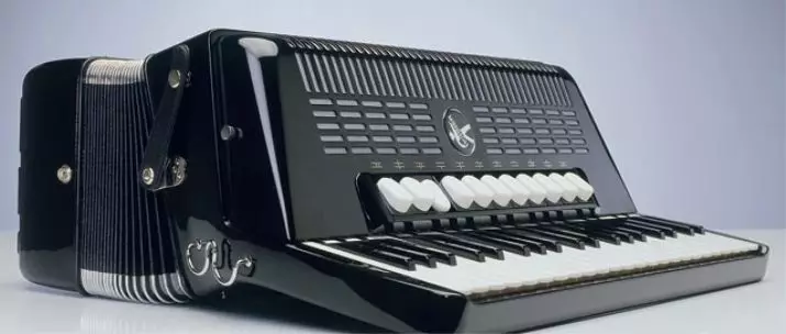 Wat is de harmonie anders dan de accordeon en accordeon? Verschillen in toetsenborden en andere verschillen, materialen voor harmonica-kleppen, seks en accordeon 25574_12