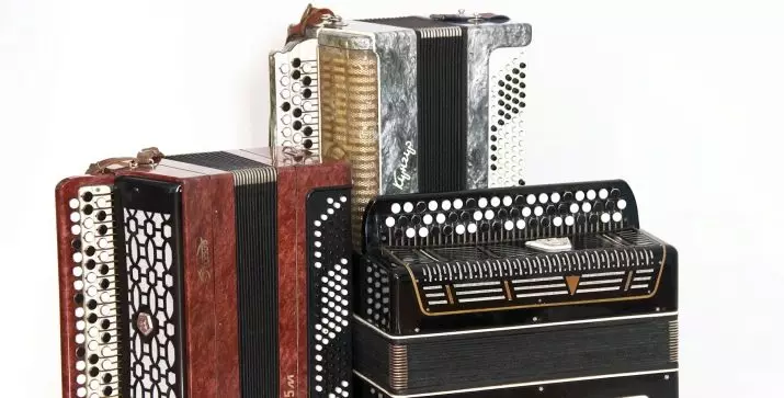 Wat is de harmonie anders dan de accordeon en accordeon? Verschillen in toetsenborden en andere verschillen, materialen voor harmonica-kleppen, seks en accordeon 25574_14