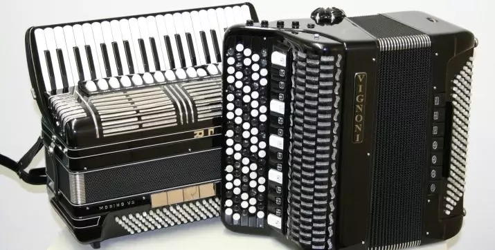 Wat is de harmonie anders dan de accordeon en accordeon? Verschillen in toetsenborden en andere verschillen, materialen voor harmonica-kleppen, seks en accordeon 25574_17
