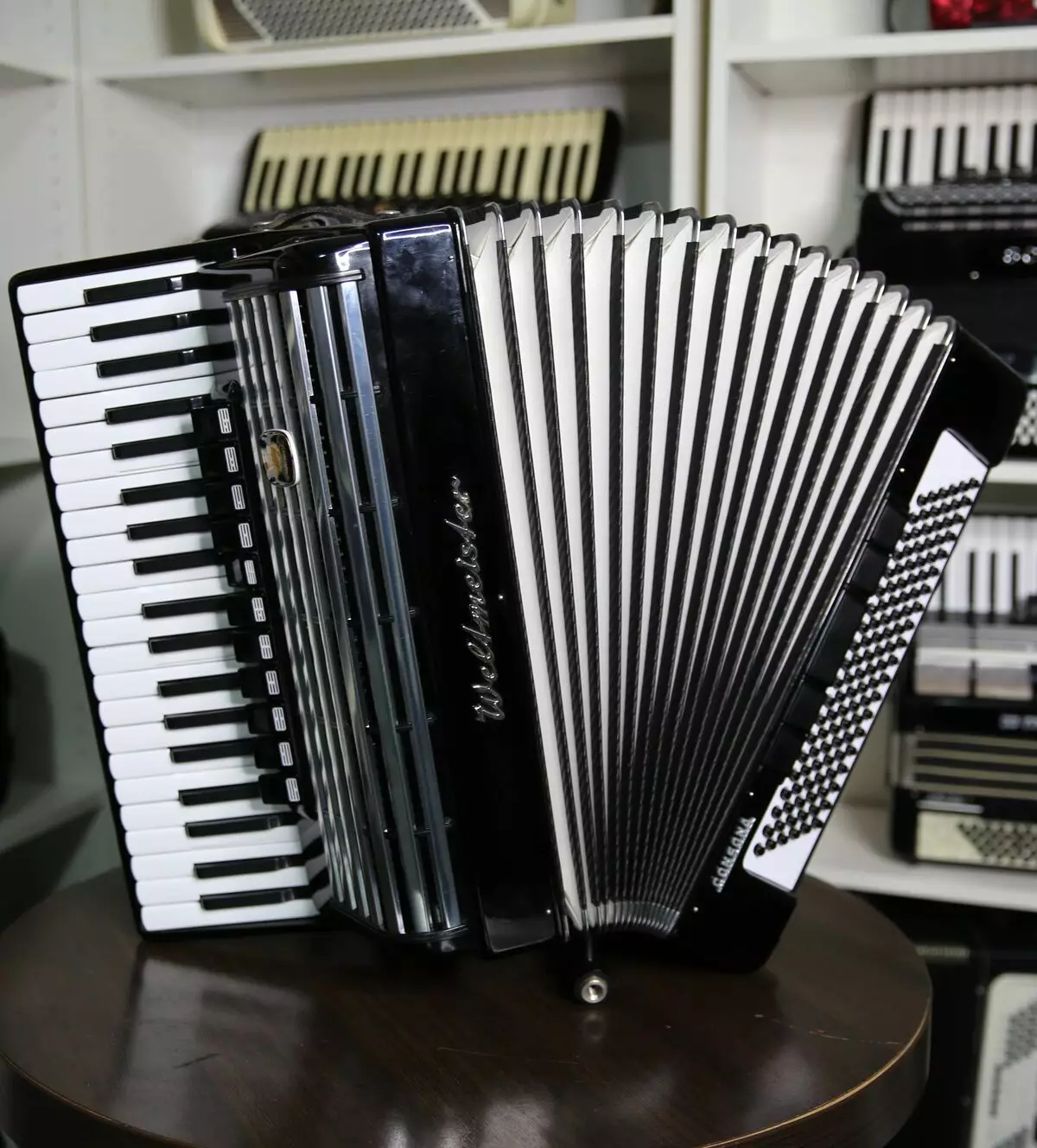 Wat is de harmonie anders dan de accordeon en accordeon? Verschillen in toetsenborden en andere verschillen, materialen voor harmonica-kleppen, seks en accordeon 25574_20