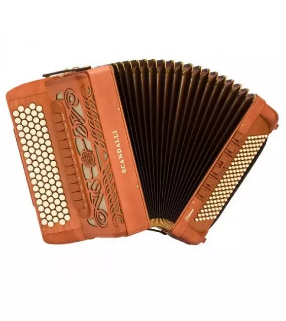 Wat is de harmonie anders dan de accordeon en accordeon? Verschillen in toetsenborden en andere verschillen, materialen voor harmonica-kleppen, seks en accordeon 25574_7