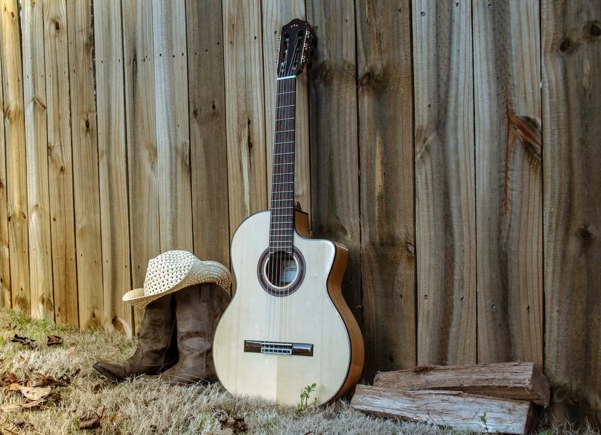 Guitarra pentatónica: Tabs para principiantes, guitarra pentatónica na guitarra baixa, la-menor e bluzye. Como xogar gamuts pentatónicos no Jiff? 25577_22