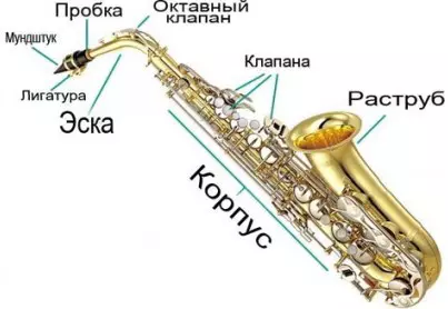 Saxofon (49 bilder): Hva er det? Tenor og sopran, bariton og andre arter, valg av kanoer og munnstykke. Hva ser det ut og hvordan høres det ut? 25581_10