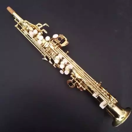 Saxophone (49 şəkil): Bu nədir? Tenor və soprano, bariton və digər növ canes və mouthpiece seçimi. Nə görünür və necə səs edir? 25581_24