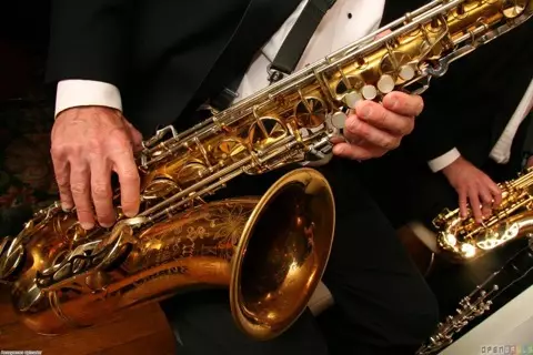 Saxofón (49 fotos): ¿Qué es? Tenor y soprano, barítono y otras especies, la elección de bastones y boquillas. ¿Qué parece y cómo suena? 25581_9