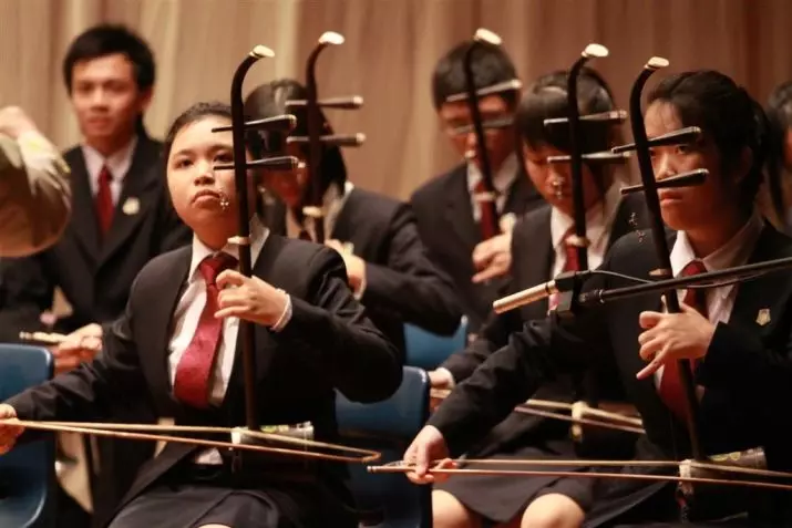 Erhu: opis glazbenog instrumenta. Igranje kineske violine. Zašto je to tako pozvan? Kako zvuči glazba? 25584_17