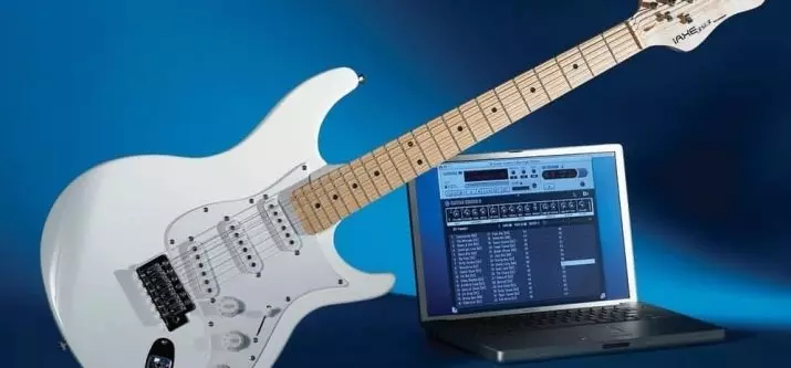 Snemanje kitare: programi za pisanje v računalnik. Kako snemanje električne kitare in akustične doma? Snemanje zvoka v Reaper, Guitar Rig 5 in druge možnosti 25585_2