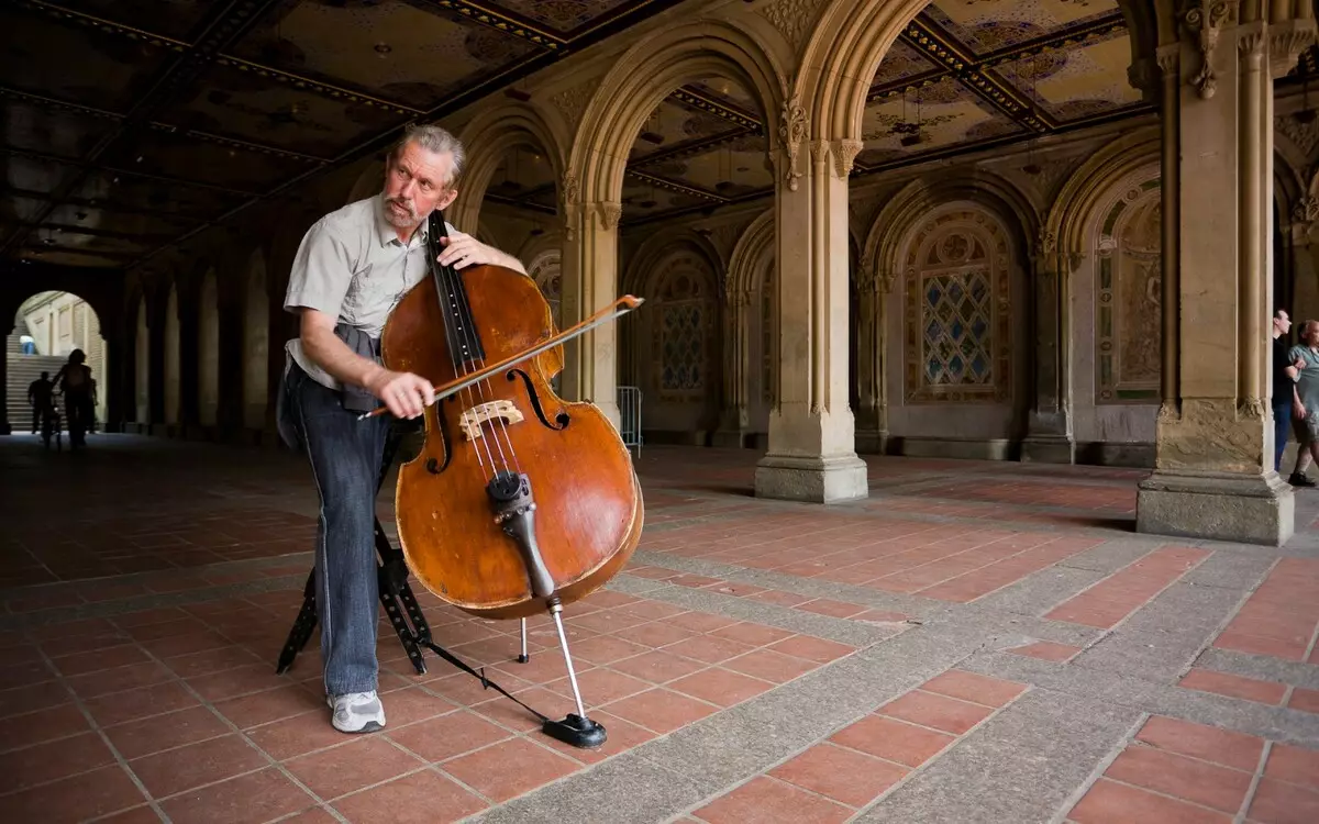 Double bass (47 photos): What is it and what does the string jammer musical instrument look like? How many strings and what sound? Electro-contrambas and others, sizes and game 25589_10