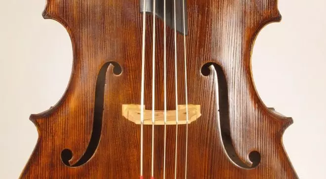 Double bass (47 photos): What is it and what does the string jammer musical instrument look like? How many strings and what sound? Electro-contrambas and others, sizes and game 25589_11