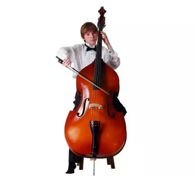 Double Bass (47 fotot): Mis see on ja mida String Jammer Musical Instrument välja näeb? Mitu strings ja millist heli? Elektro-contrampas ja teised, suurused ja mängu 25589_34