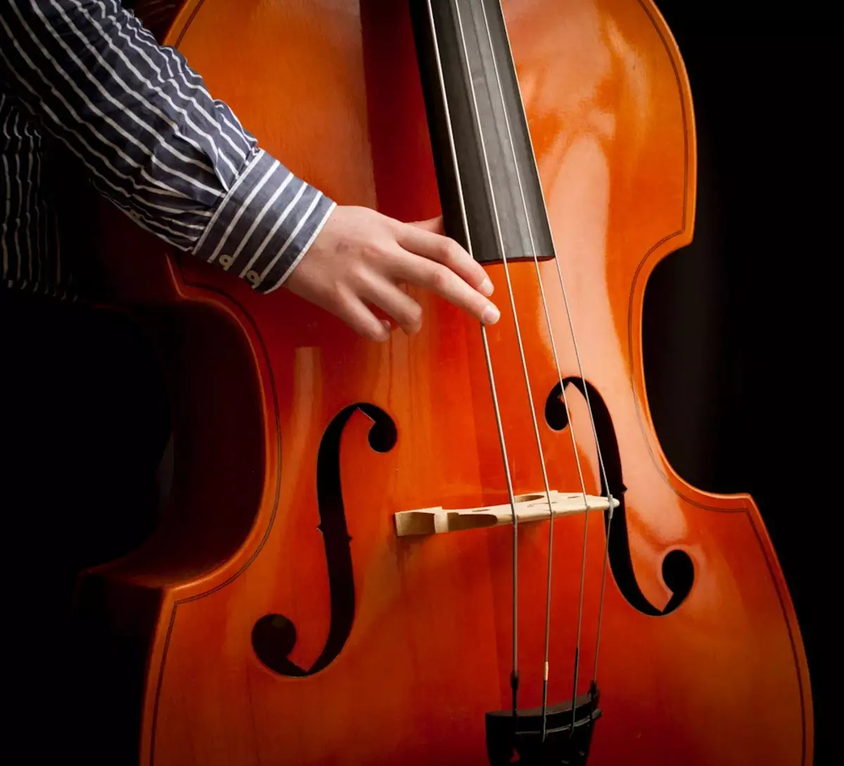 Double Bass (47 fotogrāfijas): Kas tas ir un ko dara String Jammer Mūzikas instruments? Cik virknes un kāda skaņa? Electro-contrambas un citi, izmēri un spēle 25589_35
