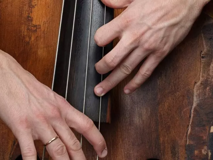 Double Bass (47 fotot): Mis see on ja mida String Jammer Musical Instrument välja näeb? Mitu strings ja millist heli? Elektro-contrampas ja teised, suurused ja mängu 25589_39