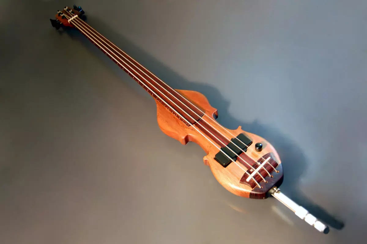 Double Bass (47 foto): Che cosa è e cosa appare lo strumento musicale Jammer String Jammer? Quante corde e che suono? Electroistram-contrammas e altri, taglie e gioco 25589_6