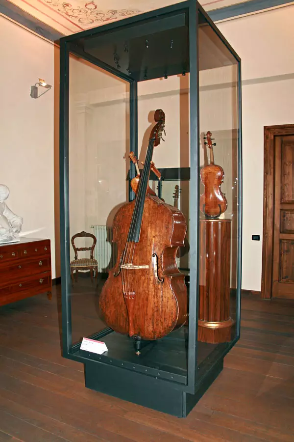 Double bass (47 photos): What is it and what does the string jammer musical instrument look like? How many strings and what sound? Electro-contrambas and others, sizes and game 25589_7