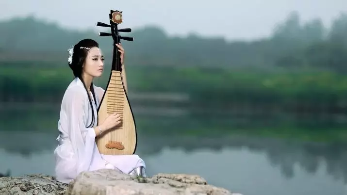 Pipa Musical хэрэгсэл (18 зураг): Хятад хэрэгслийн хэрэгслийн тайлбар, дууны онцлог шинж чанарууд 25591_17