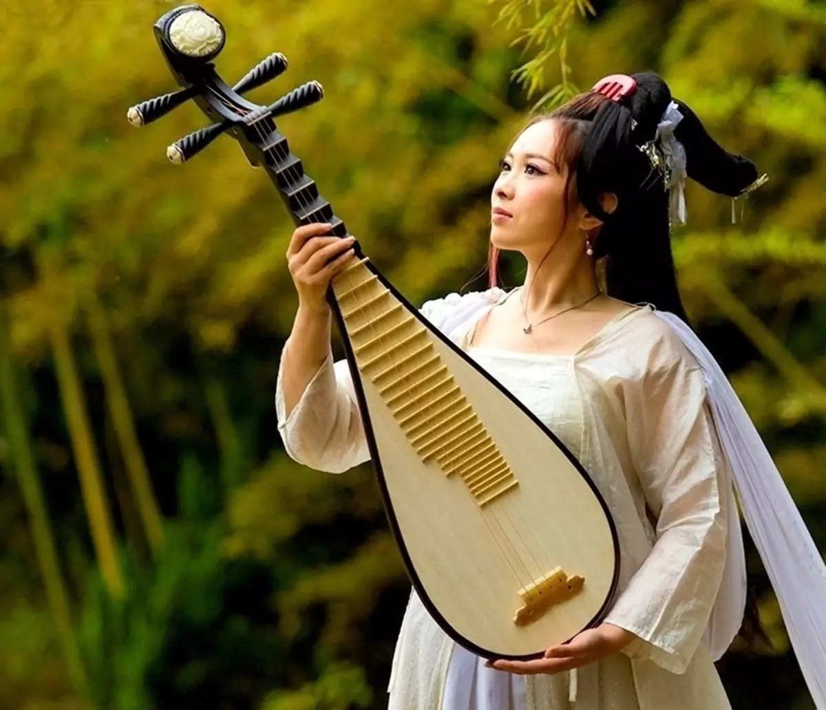 Pipa Musical хэрэгсэл (18 зураг): Хятад хэрэгслийн хэрэгслийн тайлбар, дууны онцлог шинж чанарууд 25591_3